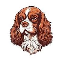 Cavalier Spaniels Haven